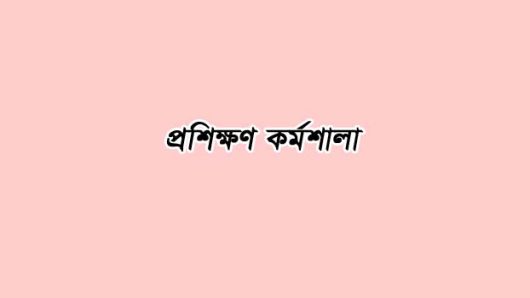 তালায় ভোটগ্রহণকারী কর্মকর্তাদের প্রশিক্ষণ কর্মশালা